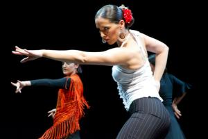 Letna predstava Flamenko, Mini Teater., junij 2012 Foto darja Štravs Tisu