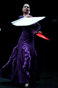 Letna predstava Flamenko, Mini Teater., junij 2012 Foto darja Štravs Tisu