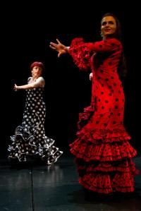 Letna predstava Flamenko, Mini Teater., junij 2012 Foto darja Štravs Tisu
