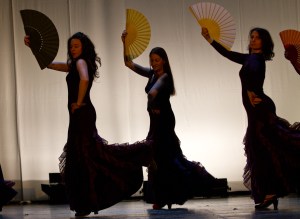 Predtava PKD Flamenko, Lendava , marec 2011, Foto: D. S. Tisu