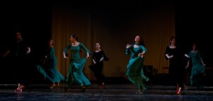 Predtava PKD Flamenko, Lendava , marec 2011, Foto: D. S. Tisu