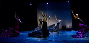 Predtava PKD Flamenko, Lendava , marec 2011, Foto: D. S. Tisu