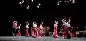 Letna predstava Flamenko, Mini Teater., junij 2012 Foto darja Štravs Tisu