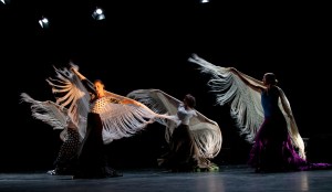 Letna Predstava 2011, Španski borci, Foto Janez Garvas