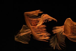 Predtava PKD Flamenko, Lendava , marec 2011, Foto: D. S. Tisu