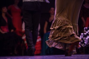 Aleg(o)ria, PKD Flamenko & SiTi Teater, junij 2013 Foto: Darja Štravs Tisu