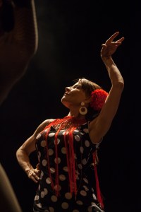 Aleg(o)ria, PKD Flamenko & SiTi Teater, junij 2013 Foto: Darja Štravs Tisu