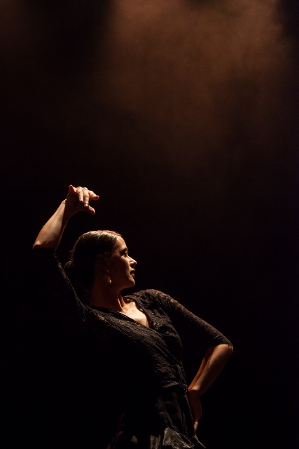 Vito Marenče flamenco group feat. Ana Pandur, Foto: Mare Vavpotič