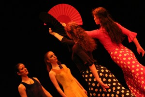 Flamenko kot metafora telesa, PG Kranj, marec 2009, D.S. Tisu